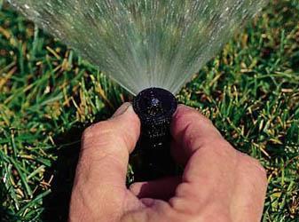 Carrollton sprinkler repair specialist adujusts a Hunter micro pop up head
