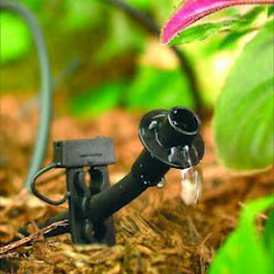 one of the drip irrigation systems installed by our Carrollton team