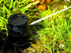 a rotor head delivers water to a residential lawn 