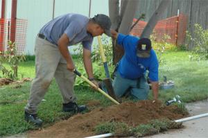 Carrollton Sprinkler Installation techs add a new line to an existing sprinkler in Carrolton Tx