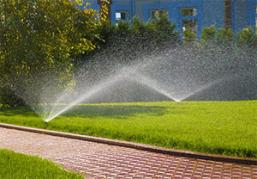 apart from drip irrigation we also install or repair sprinklers